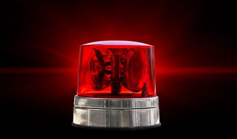 Our Government's "Whole of Society" Rule