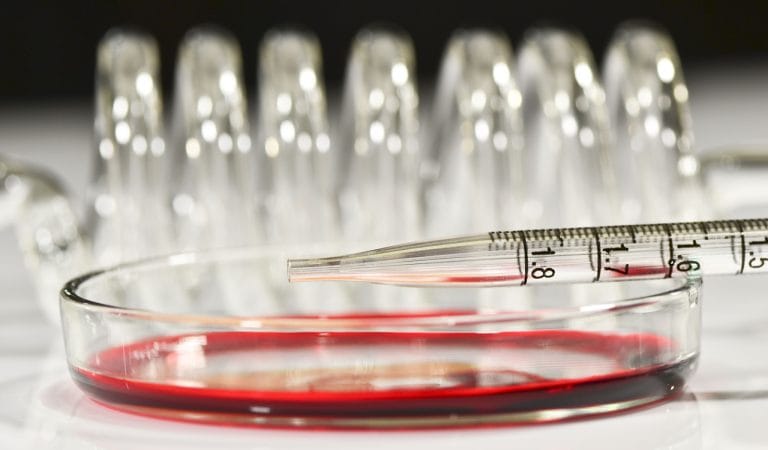 Psychological Bioterrorism