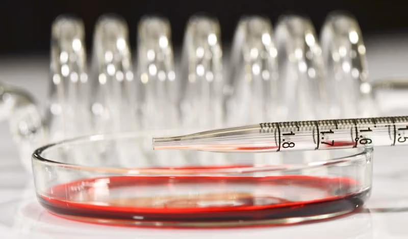 मनोवैज्ञानिक जैव आतंकवाद