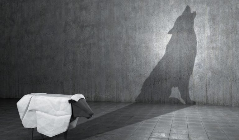 Signs of Untruthfulness