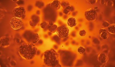Is the Influenza Threat Exaggerated?