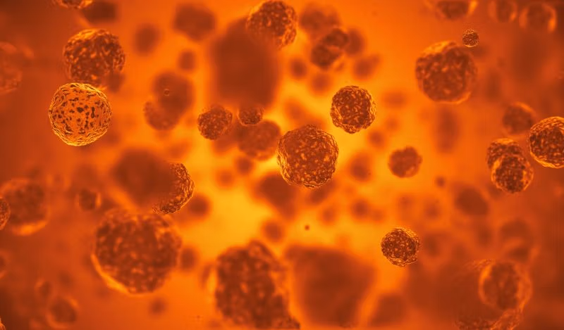 La minaccia dell'influenza è esagerata?