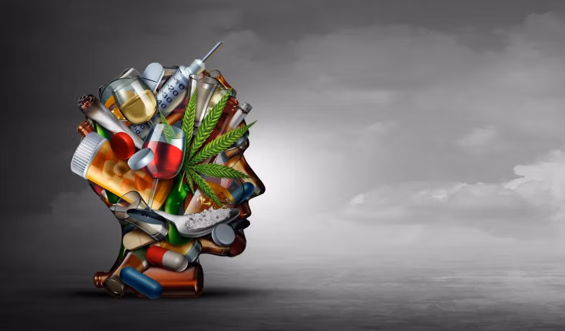 Osnaženi državom, osuđeni krizom: Purdueov paradoks