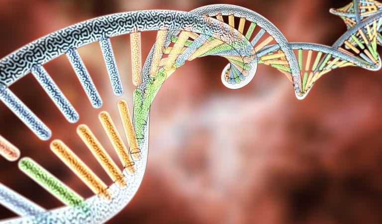 FDA Lab Uncovers Excess DNA Contamination in Covid-19 Vaccines