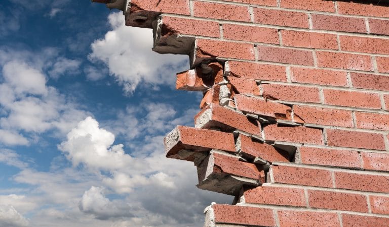 US Withdrawal from the WHO Shines Spotlight on Need for Reform