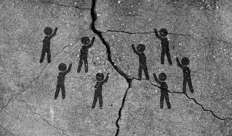 New Study Reveals How DEI Training Increases Hostility