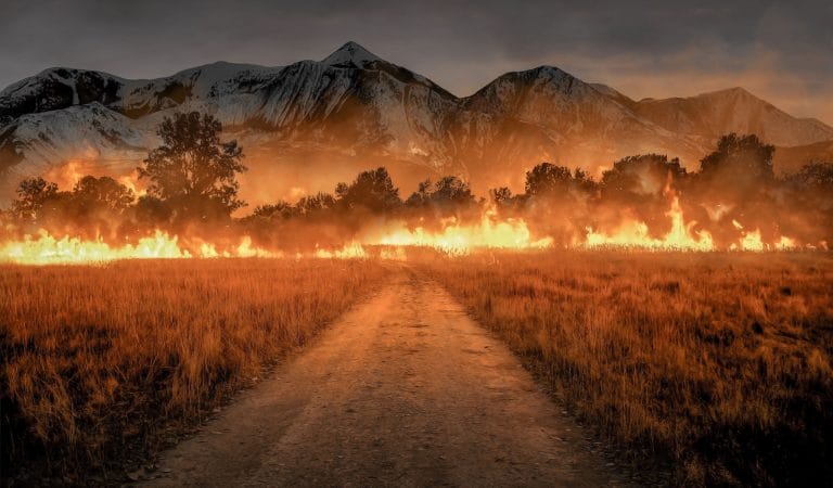 Trump Calls Time on Self-Flagellation