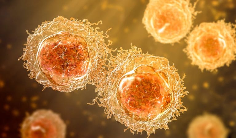 Deconstructing HHS: Influenza Vaccine Propaganda