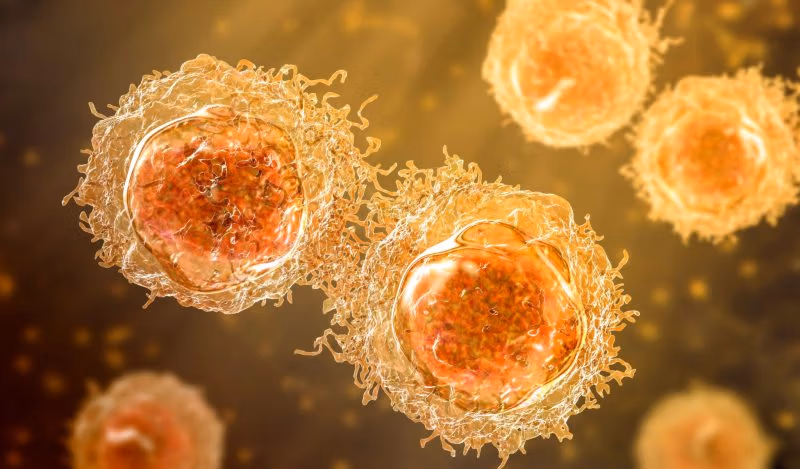 Desmontando el HHS: propaganda de la vacuna contra la gripe