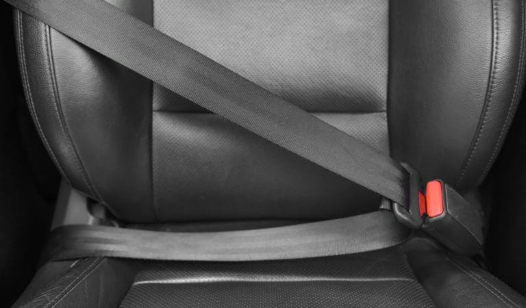 The Regulatory Question for the MAHA-MAGA Populists