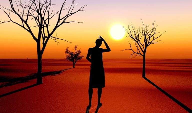 A Tale of Two Continental Tyrannies