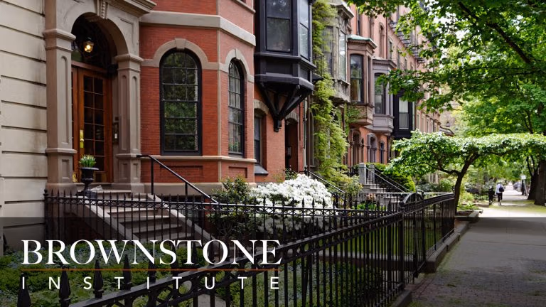 Brownstone Institute