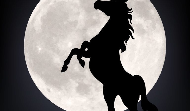 Behind the Choice for CDC Director