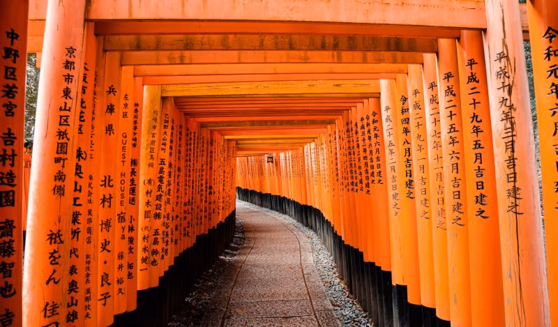 Japanin loputon germafobia