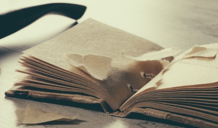 Science Magazine Attacks the Journal of the Academy of Public Health