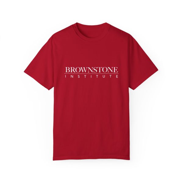 Brownstone Institute T-Shirt (Dark Colors) - Image 55