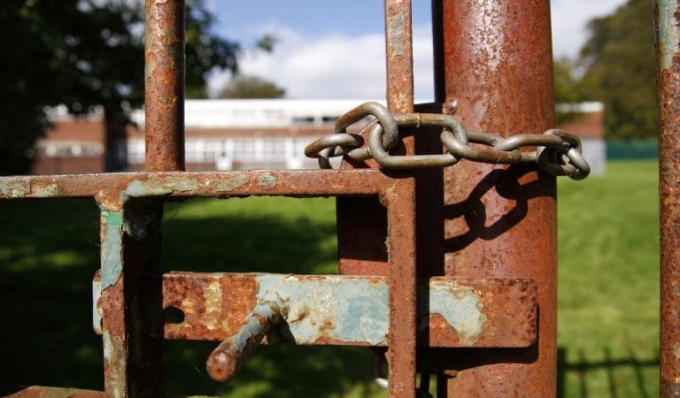 David Zweig’s New Covid Book Is a Must-Read