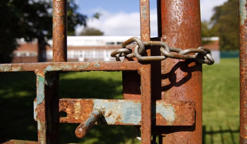 Դեյվիդ Ցվայգի նոր Covid գիրքը պարտադիր ընթերցման է