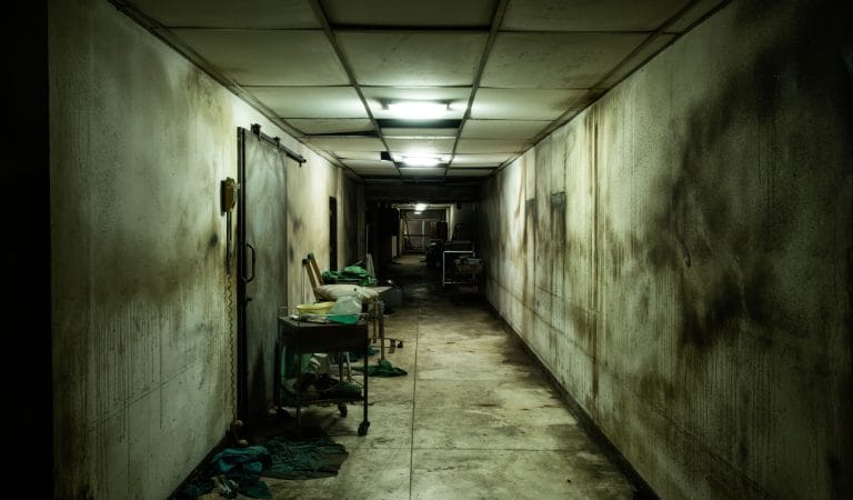 How Public Health Wrecked Public Health