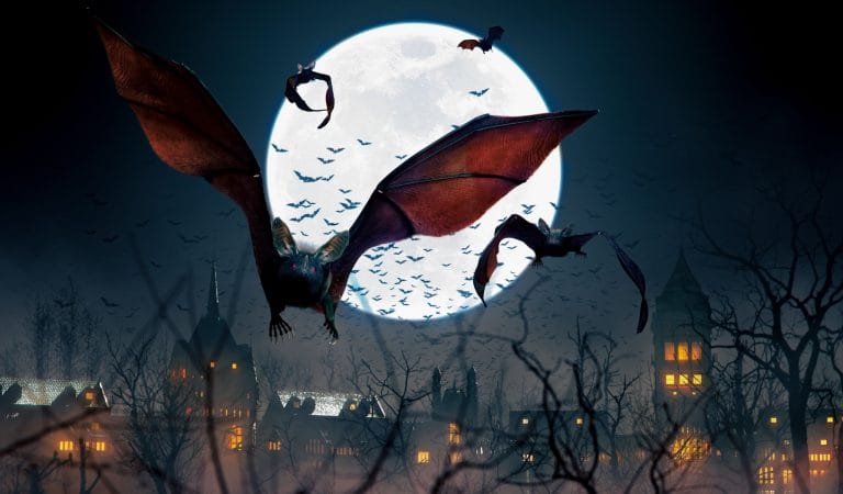 The Great Spillover Hoax