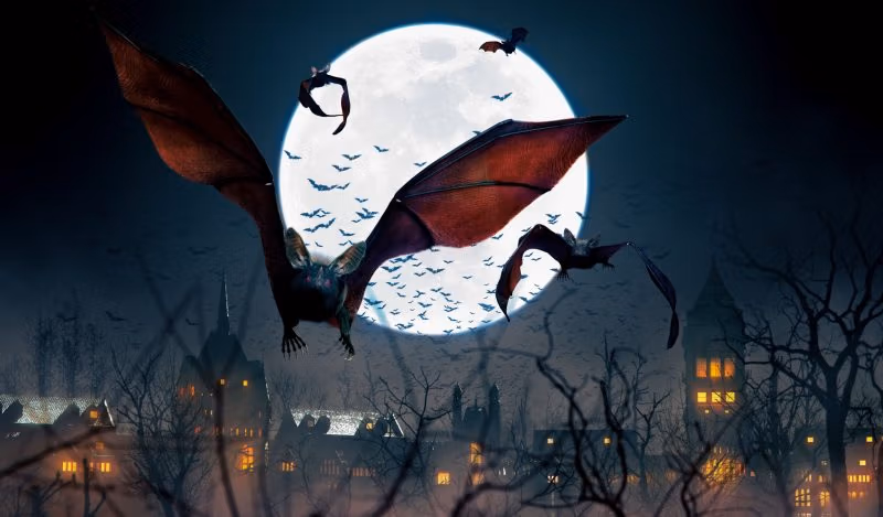 Der große Spillover-Schwindel