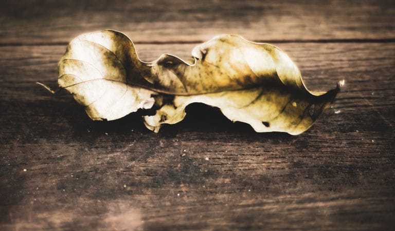 Alasdair MacIntyre (1929-2025): A Philosopher Who Thought Against the Grain