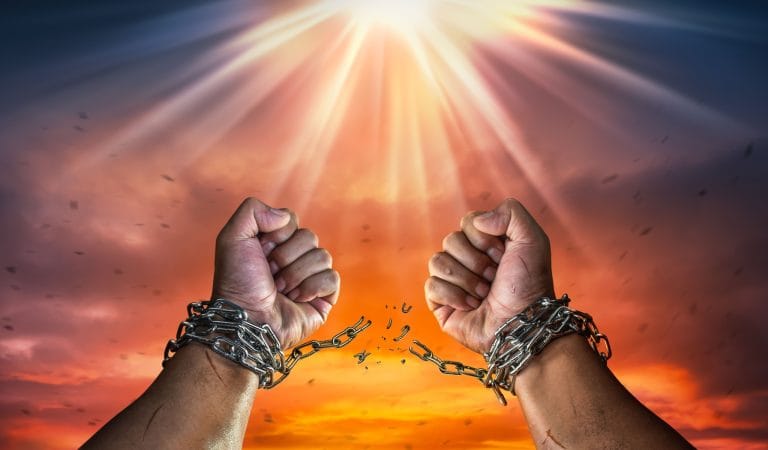 We Have Yet to Be Drawn and Quartered