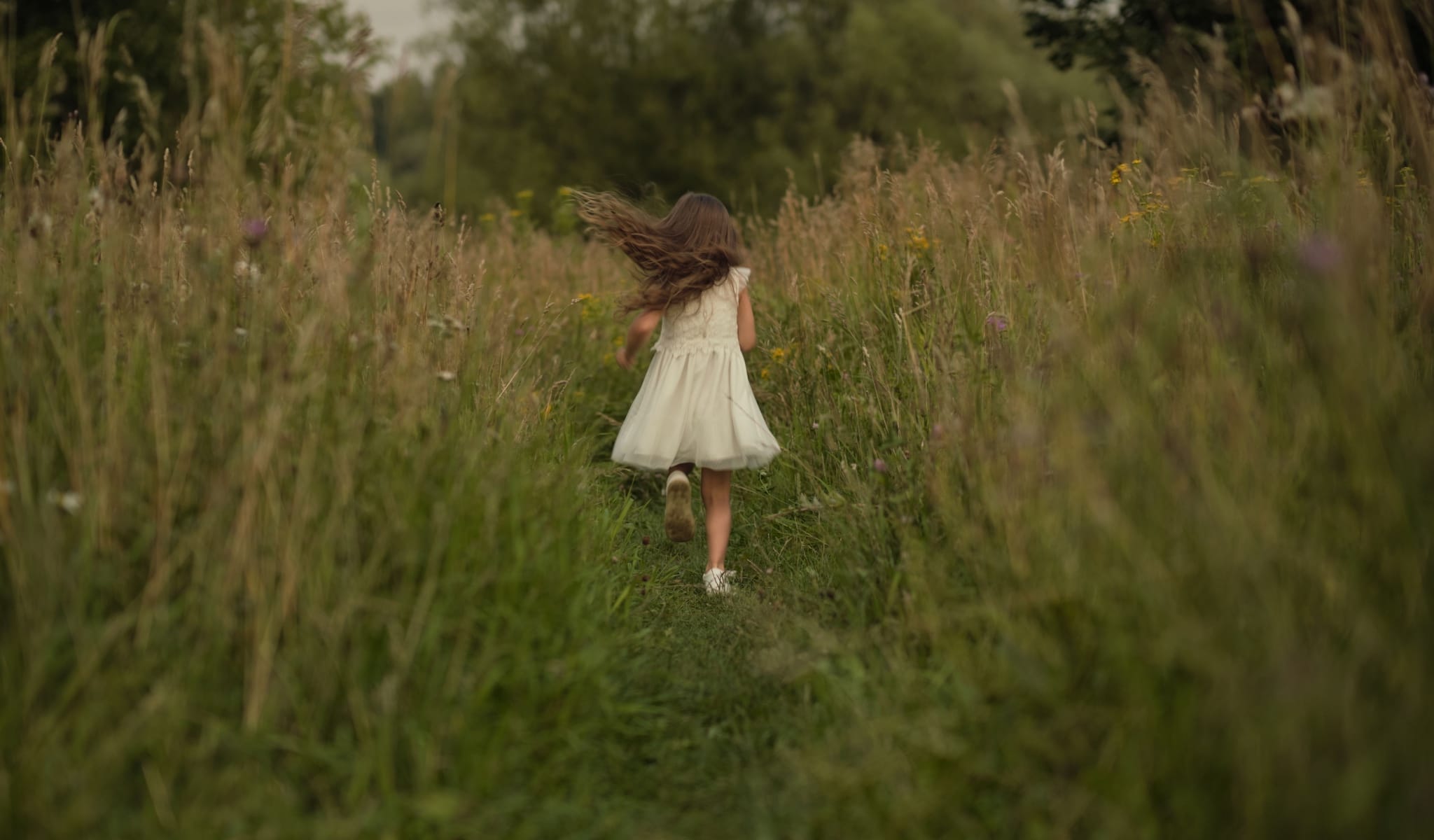 The Coward's Bargain