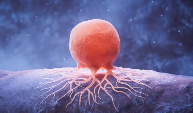 Cochrane op 'n selfmoordmissie