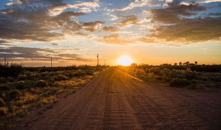 Brilliant “Eddington” Plunges Viewers Right Back to 2020