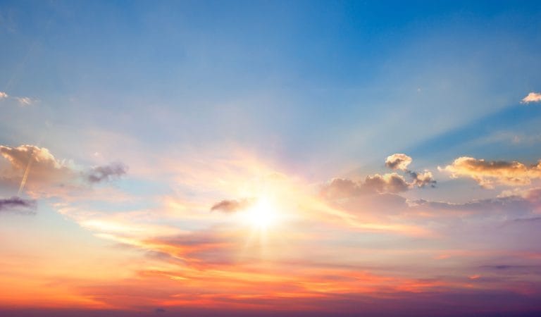 Mapping the Entire Field of Autism Causation Studies in One Article