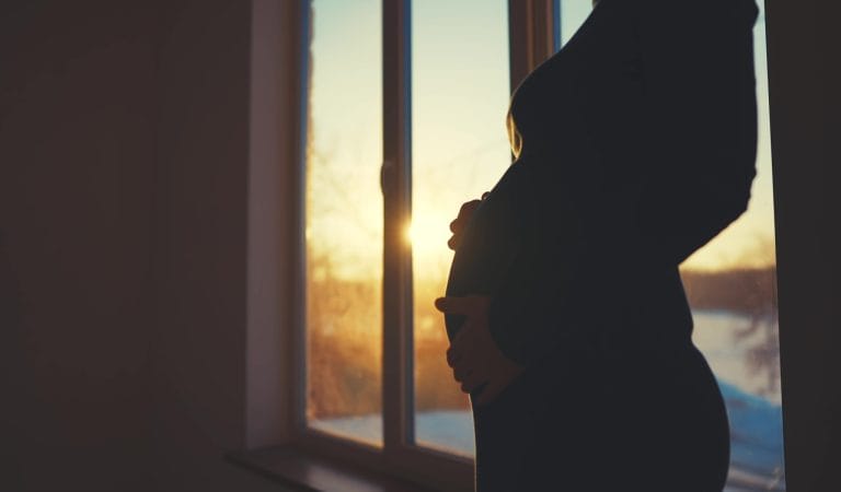 Net Zero: The Mystery of the Falling Fertility