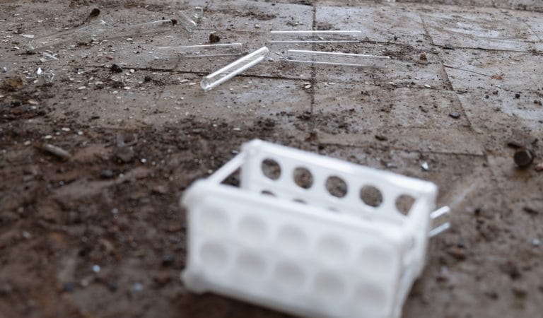 Aluminum-Adsorbed Vaccines and Chronic Diseases of the Medical Establishment