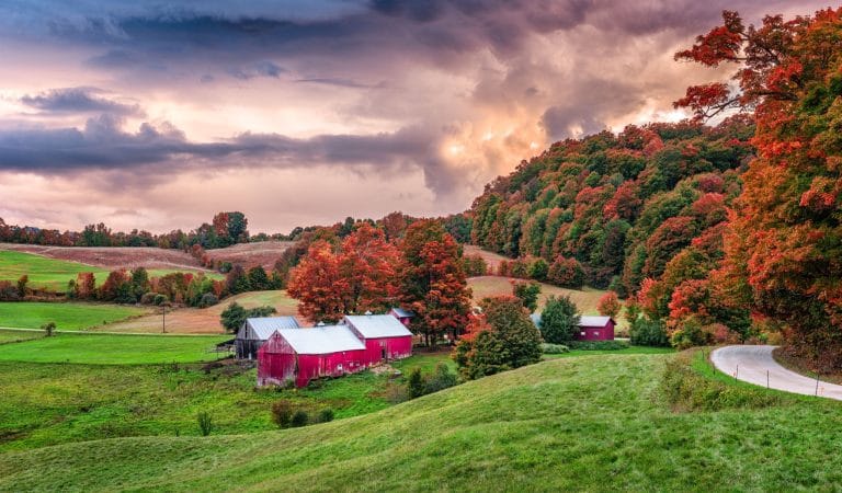 The Return on Investment of Isolation