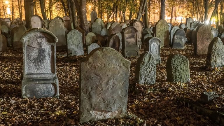 Same Excess Death Patterns in Multiple Data Sets after mRNA Vaccine Rollouts