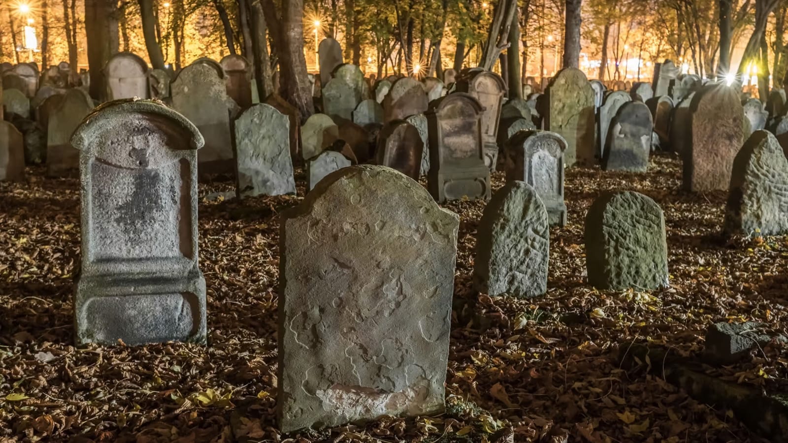 Same Excess Death Patterns in Multiple Data Sets after mRNA Vaccine Rollouts