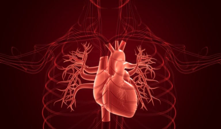 The Creation of New ICD-10 Codes for Post-Covid Vaccine Syndrome