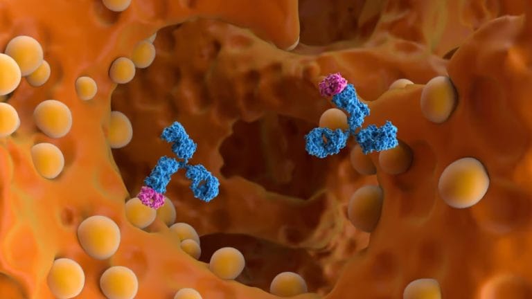 What ACIP Wasn't Shown