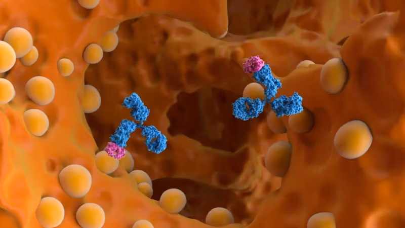 Amit az ACIP nem mutatott