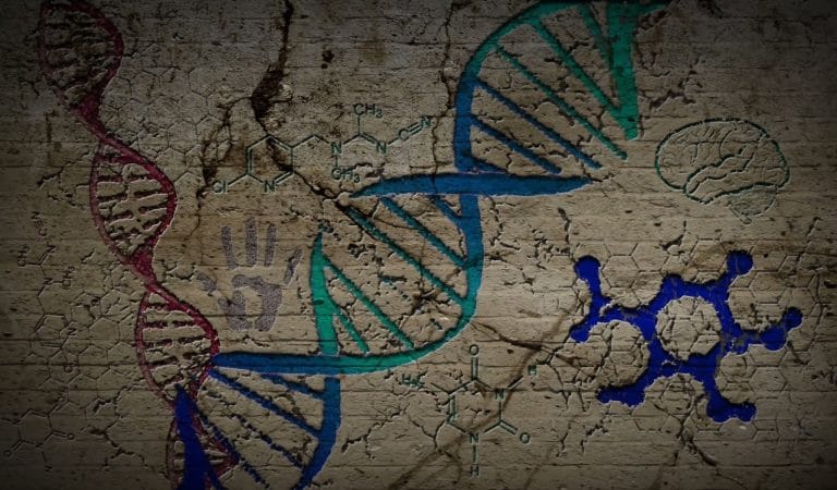 New Designer DNA by the Wellcome Trust