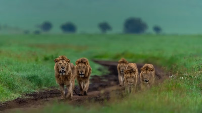 Meningsverskil word hoofstroom