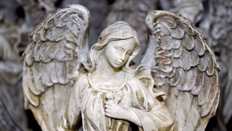 El meu primer terapeuta