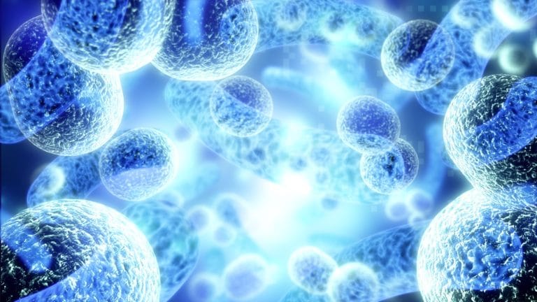 Discussion on Covid Vaccination Should Be Non-Controversial