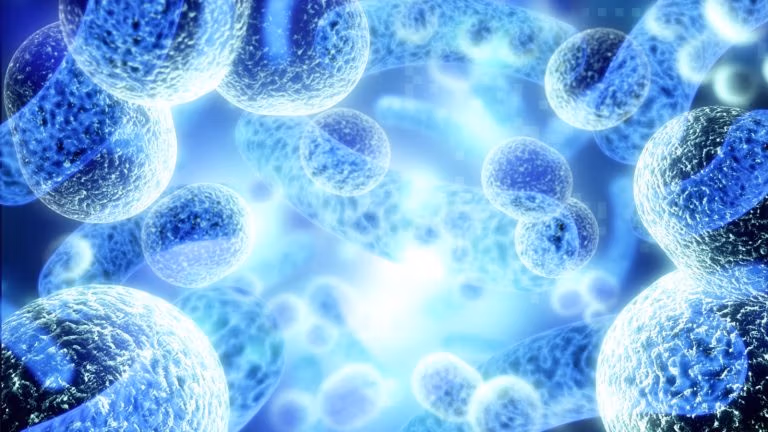 Discussion on Covid Vaccination Should Be Non-Controversial