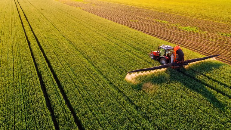 Les Raisins de la colère