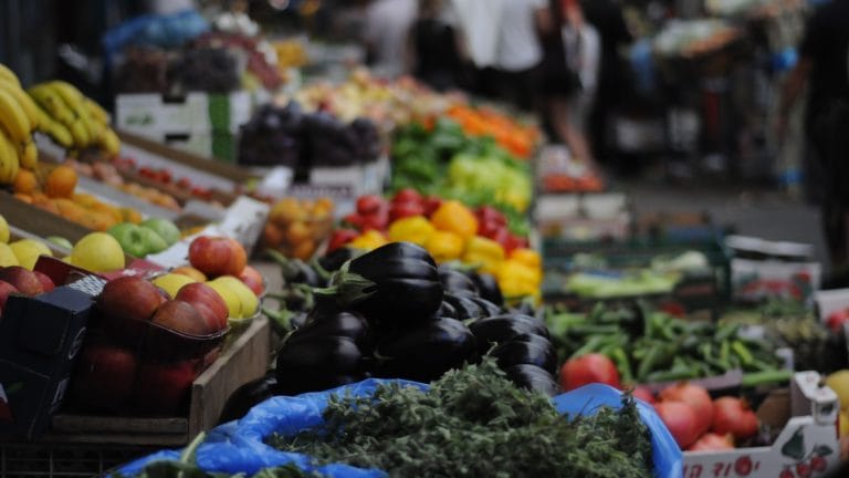 The MAGA Movement: A View from Within