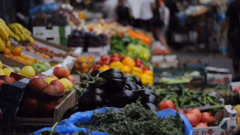 Il movimento MAGA: una visione dall'interno