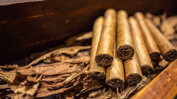 それが起こる部屋に誰が資金を提供するのか?