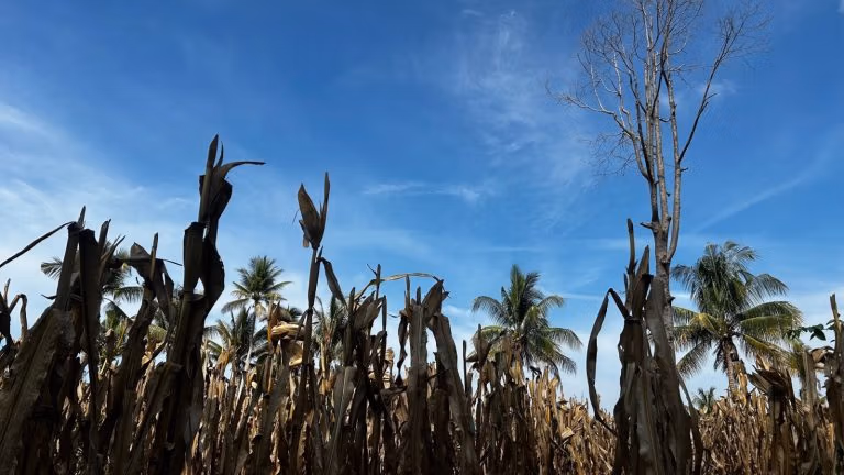 Ameerika kõige sotsialistlikum süsteem on see, mis meid toidab – ja see on läbi kukkumas