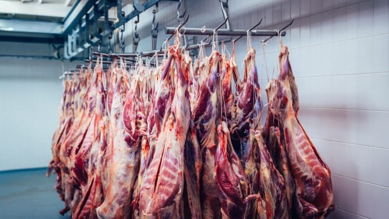 Murray Rothbard Unpacks the Meatpacking Myth